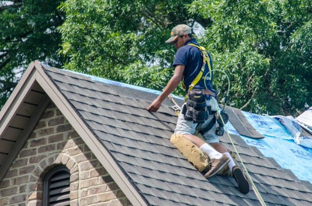 Best Shingle Roofing Installation  in Bay, AR